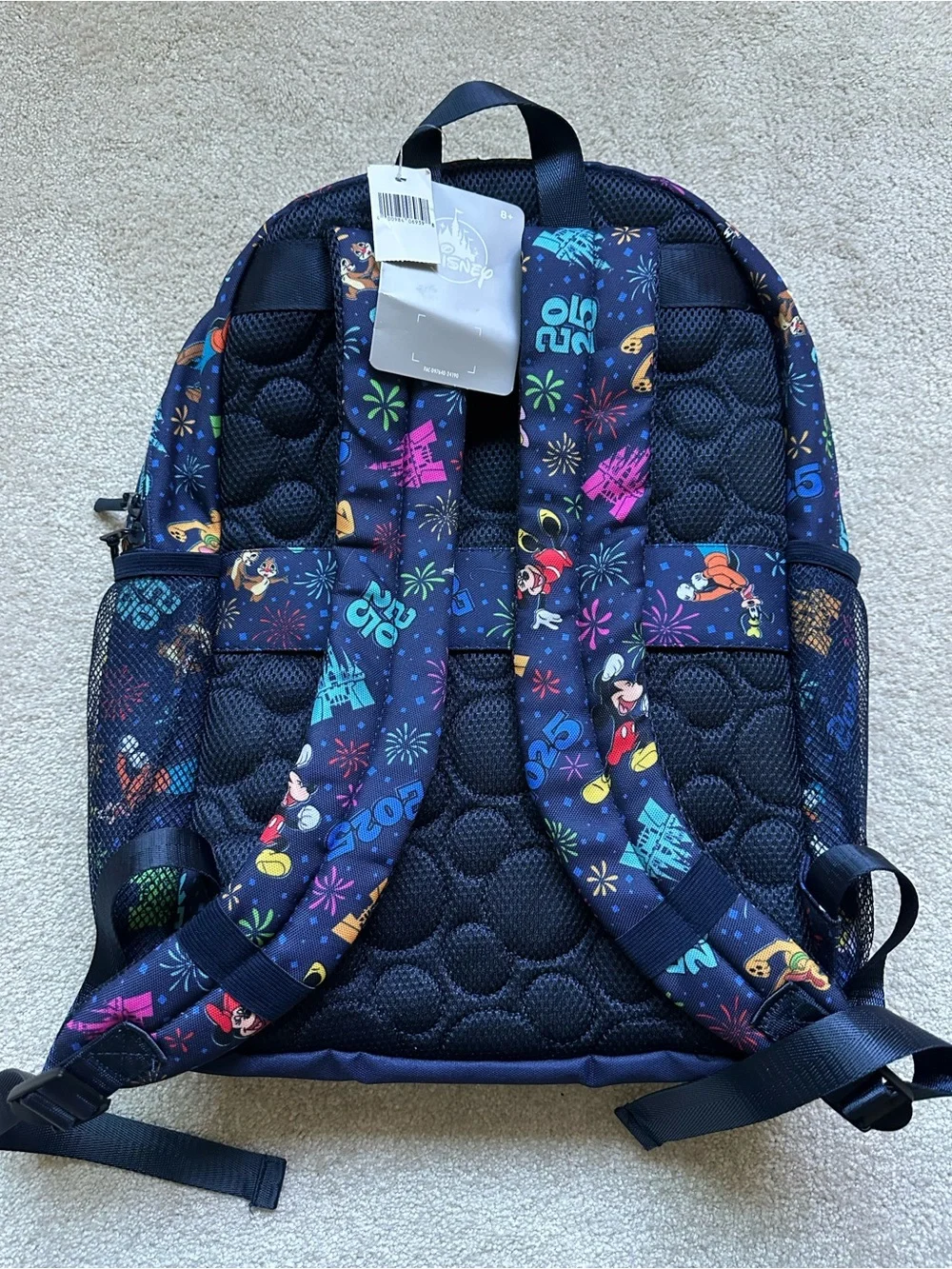 Disney 2025 Navy Backpack